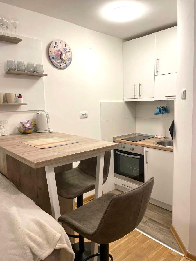 Alma Vracar Apartment Belgrade Luaran gambar