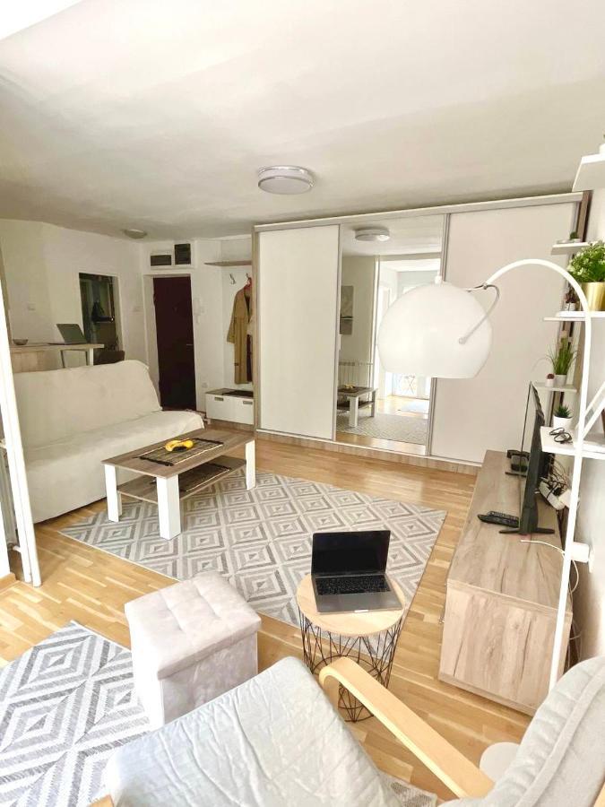 Alma Vracar Apartment Belgrade Luaran gambar